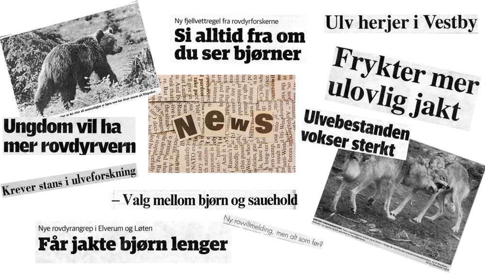 Kollasj av avistitler om rovdyr