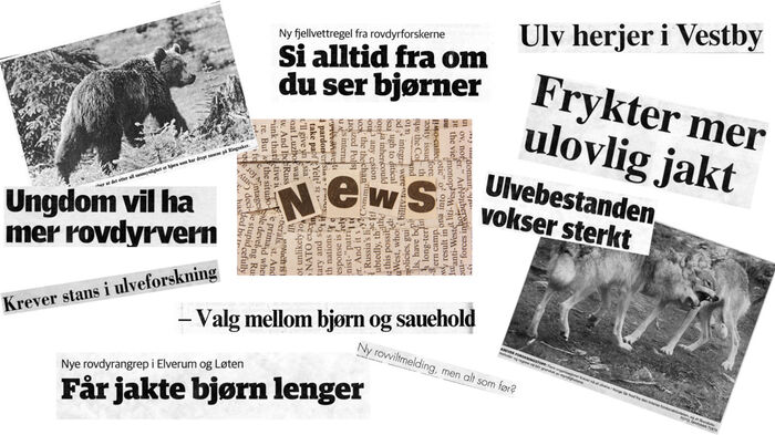 Kollasj av avistitler om rovdyr