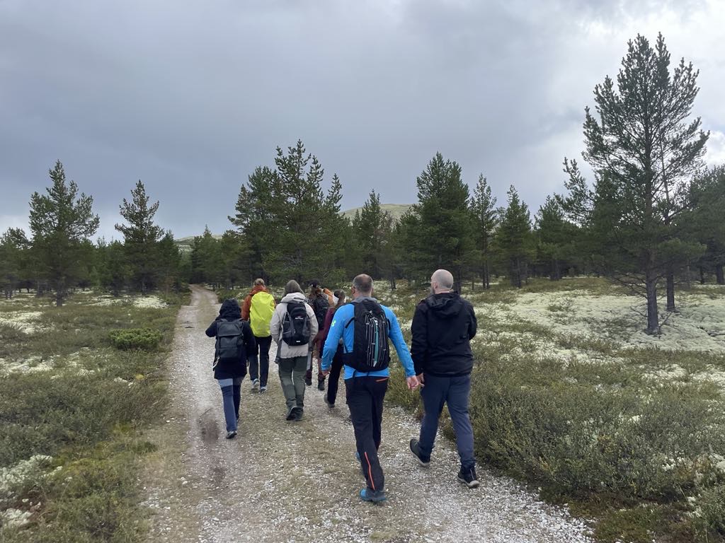 En gruppe mennesker går tur i skogen. Det er grønne omgivelser med trær, gress og lyng.