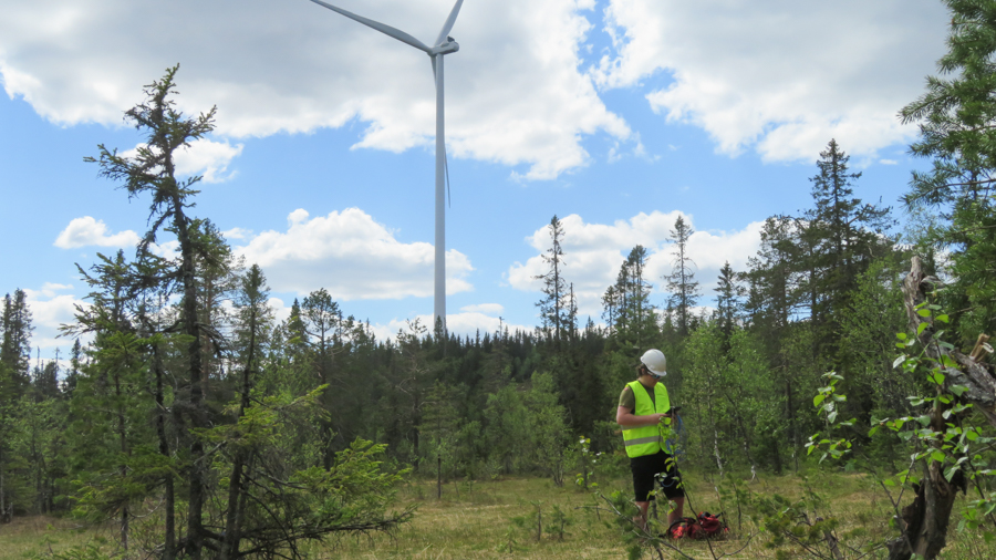 Forsker i gul vest i skogen ved en vindturbin