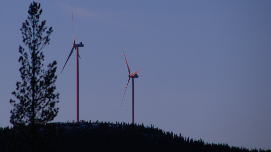 Vindturbiner i solnedgang i skogslandskap 