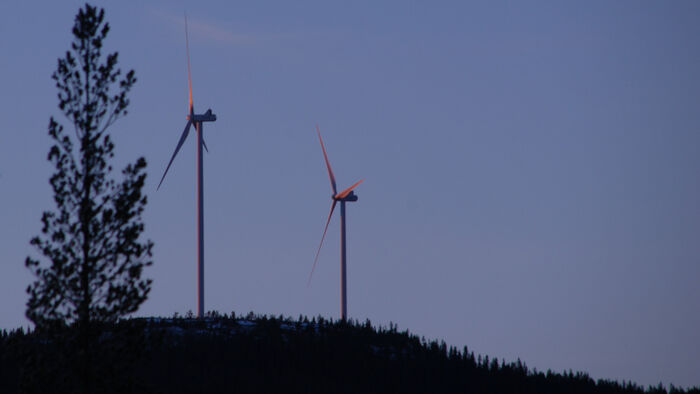 Vindturbiner i solnedgang i skogslandskap 