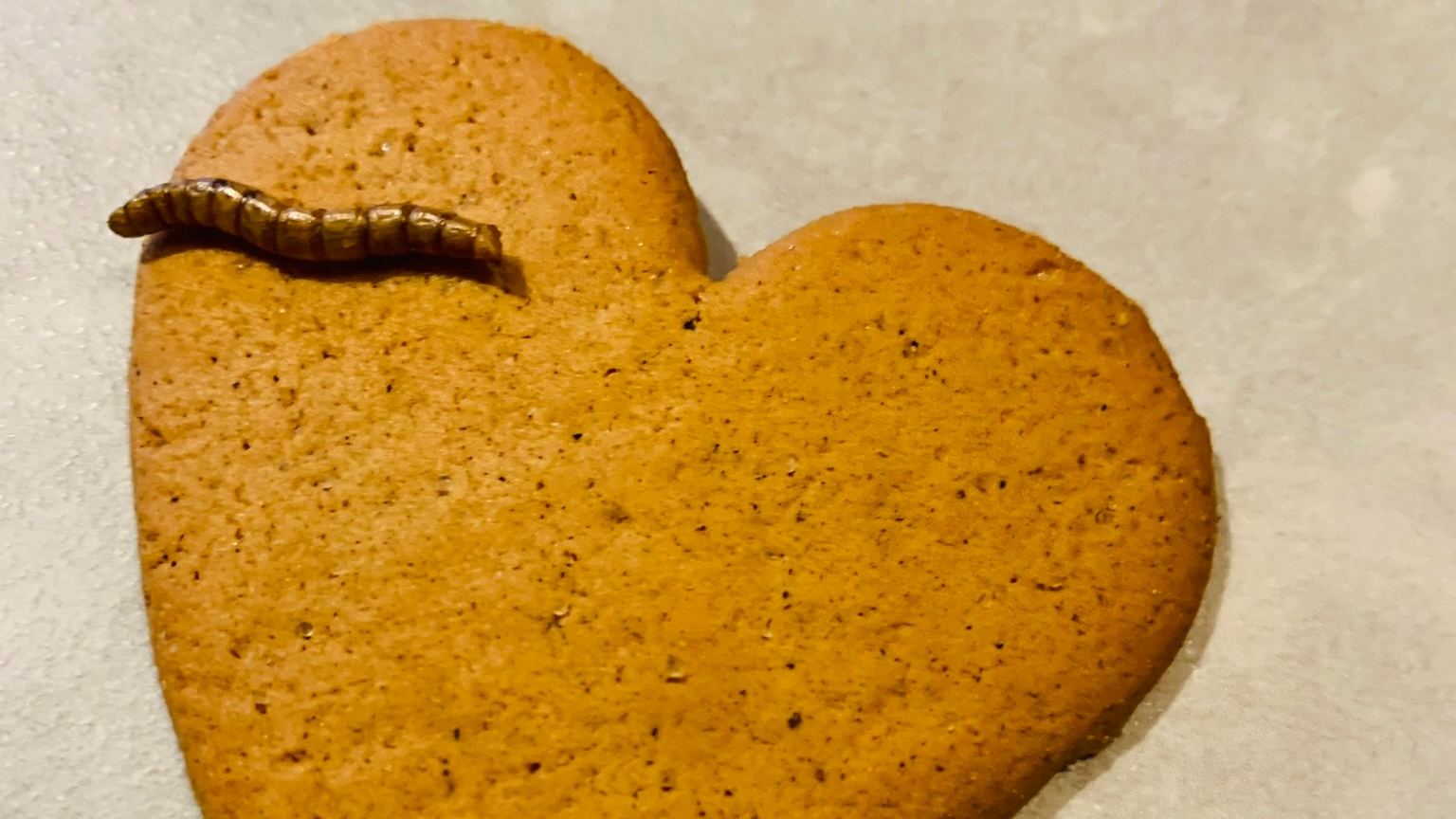hjerteformet pepperkake med melorm på