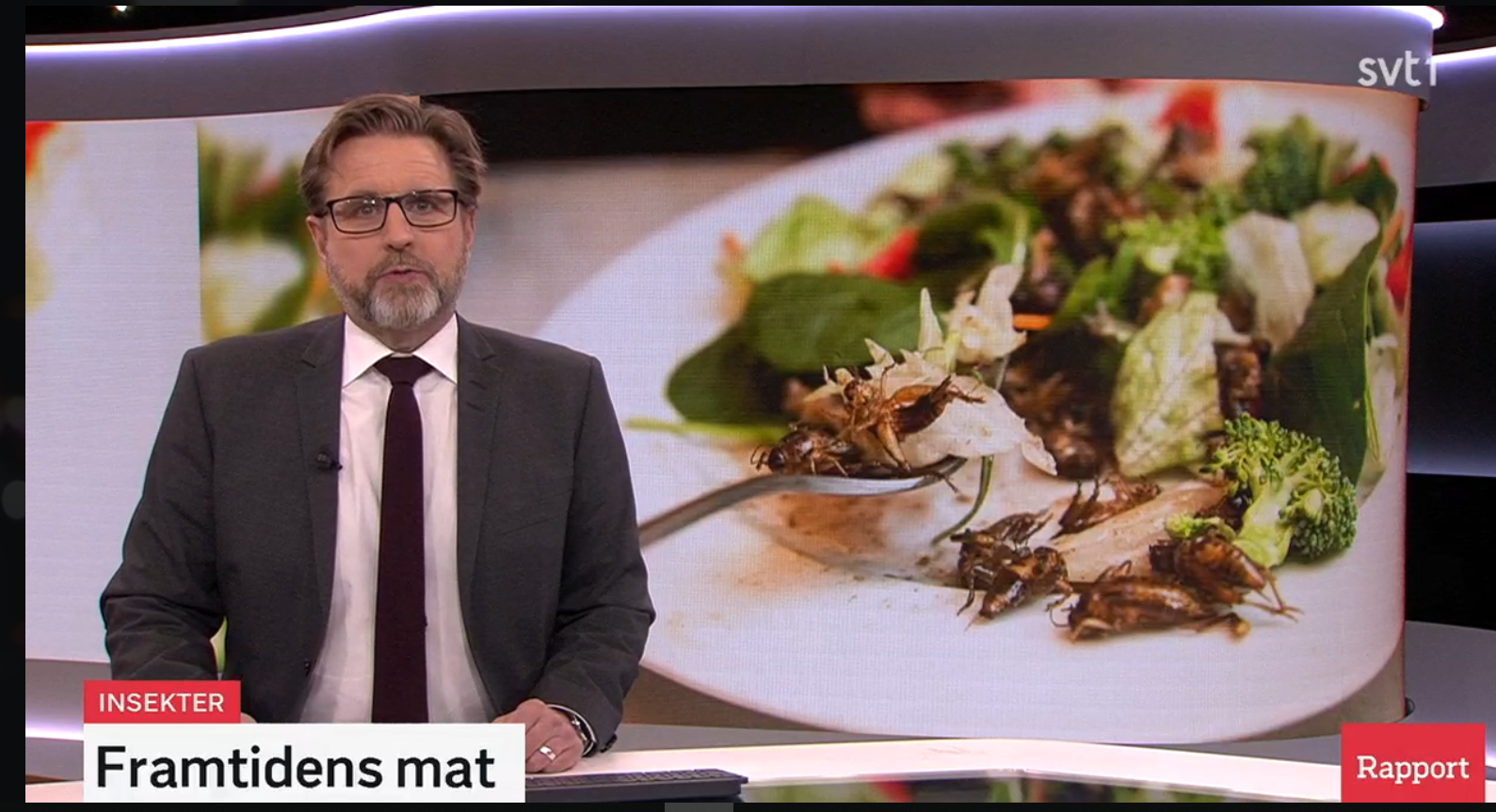 screenshot fra svenske Rapport tv-sending