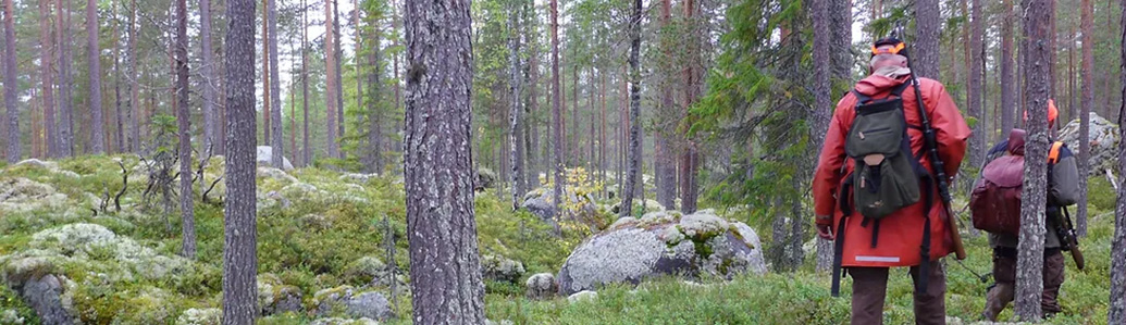 Bilde av mennesker i skog