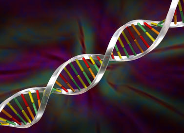 Bildet viser DNA dobbelttrådet heliks.