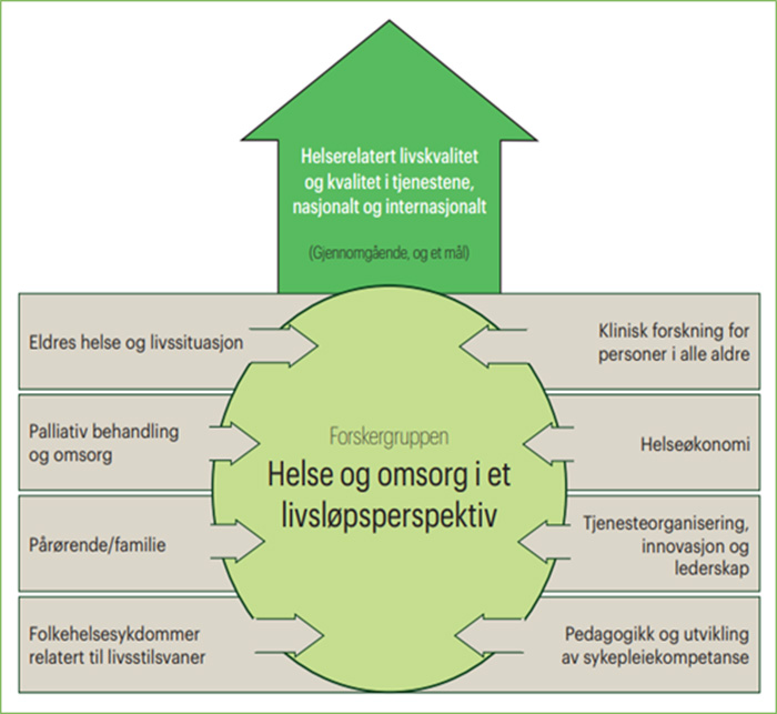 Modell som viser en oversikt over forskningsområdet