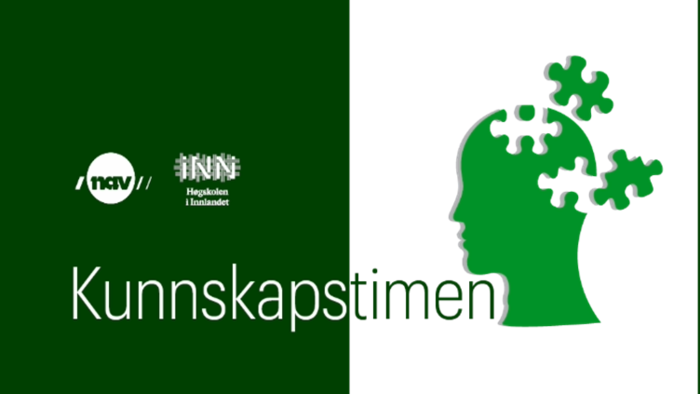 logo Kunnskapstimen med tegning av et hode som blir til puslebiter