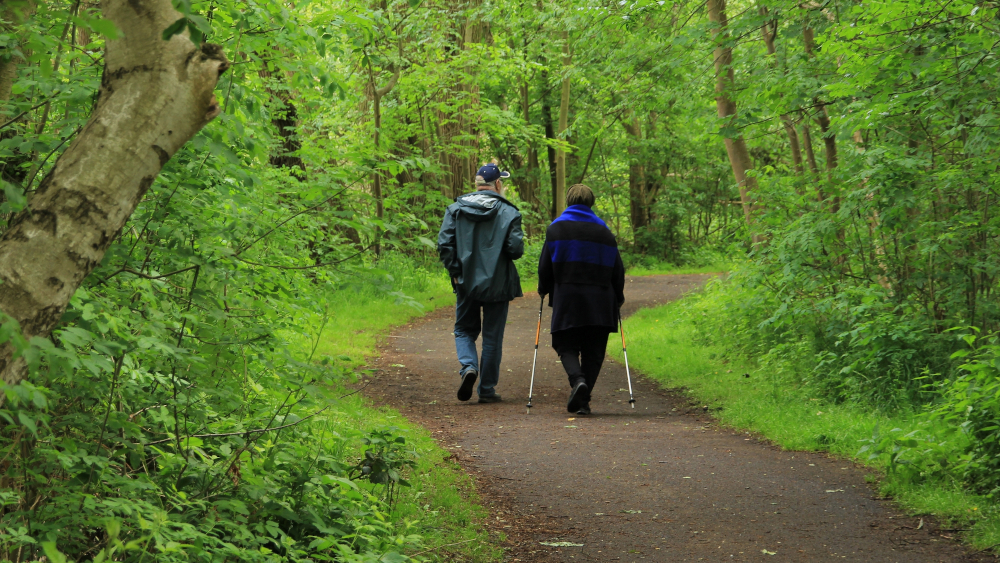 To personer går tur på en sti i skogen