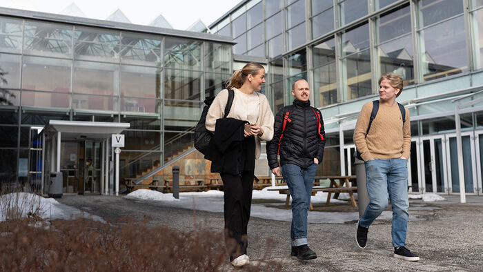 Tre kvinnelige studenter utenfor campus. 