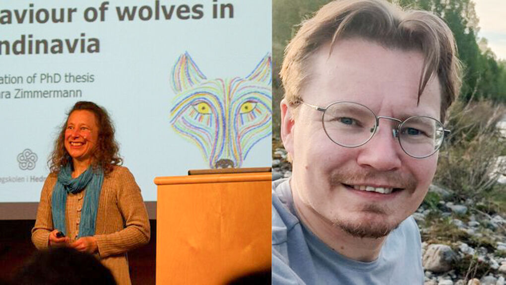 Bildekollasje med Zimmermann og Versluijs 