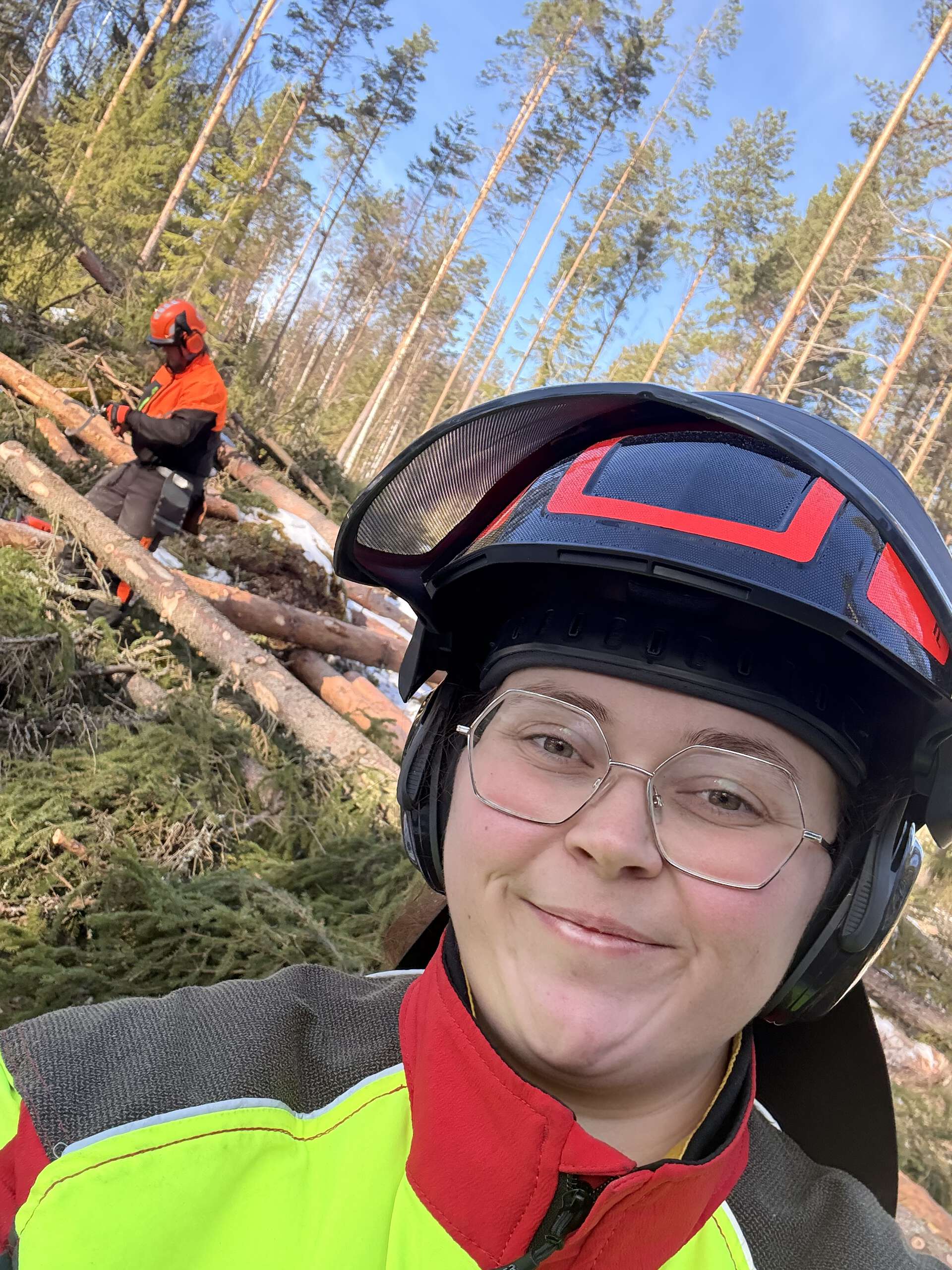 Blid dame med vernehjelm i furuskog hvor det felles trær med motorsag. En person bak henne i fullt oransje verneutstyr.