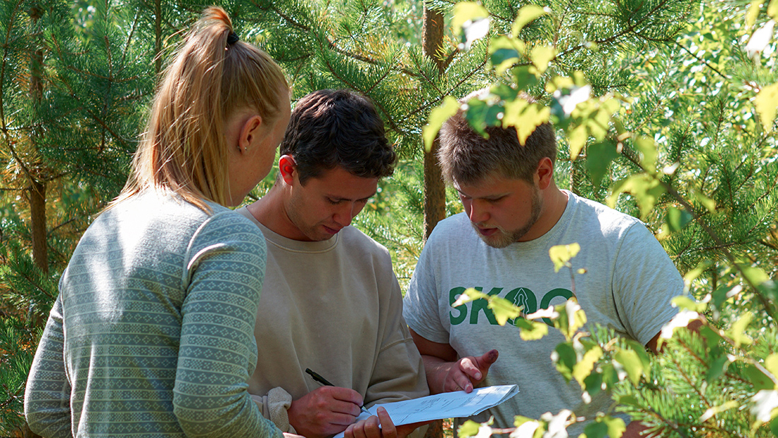 Studenter som arbeider i skogen. 