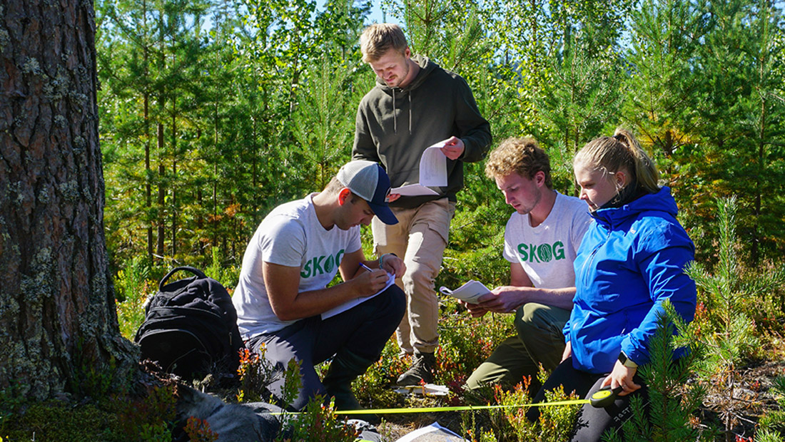 Studenter i felt ute i skogen. 