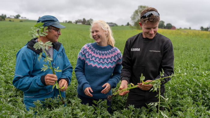 a lecturer and two students out in the field holding plants