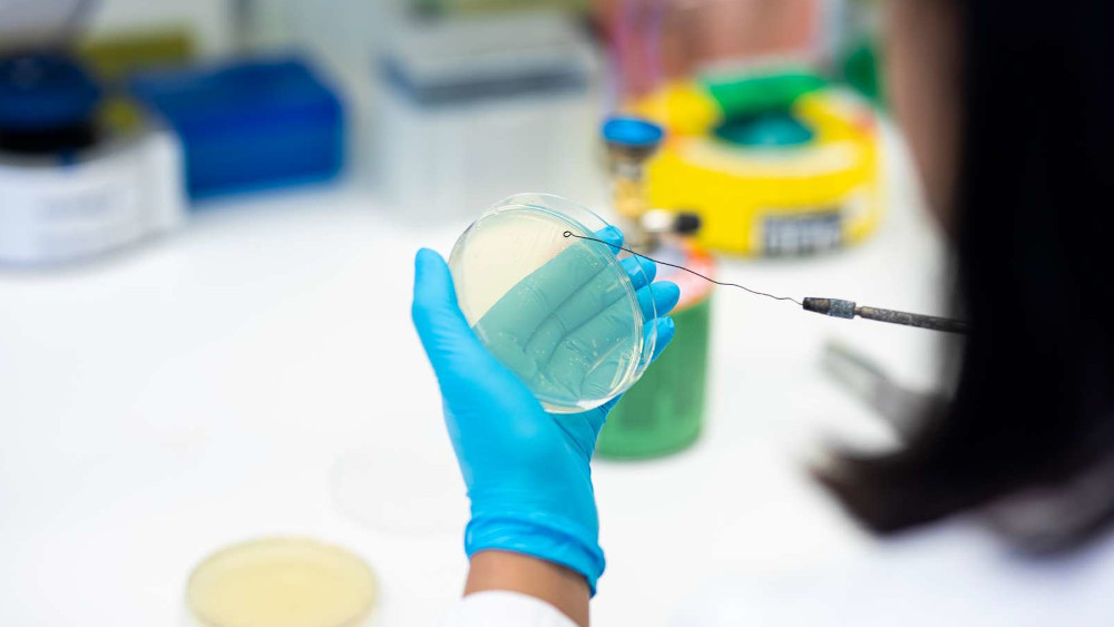 En forsker jobber med en petriskål i et laboratorium 