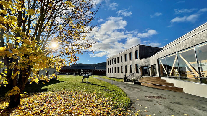 Inngangspartiet på hovedbygget på Evenstad med høstblader på bakken og stålelg i bakgrunnen. (Foto: HINN)