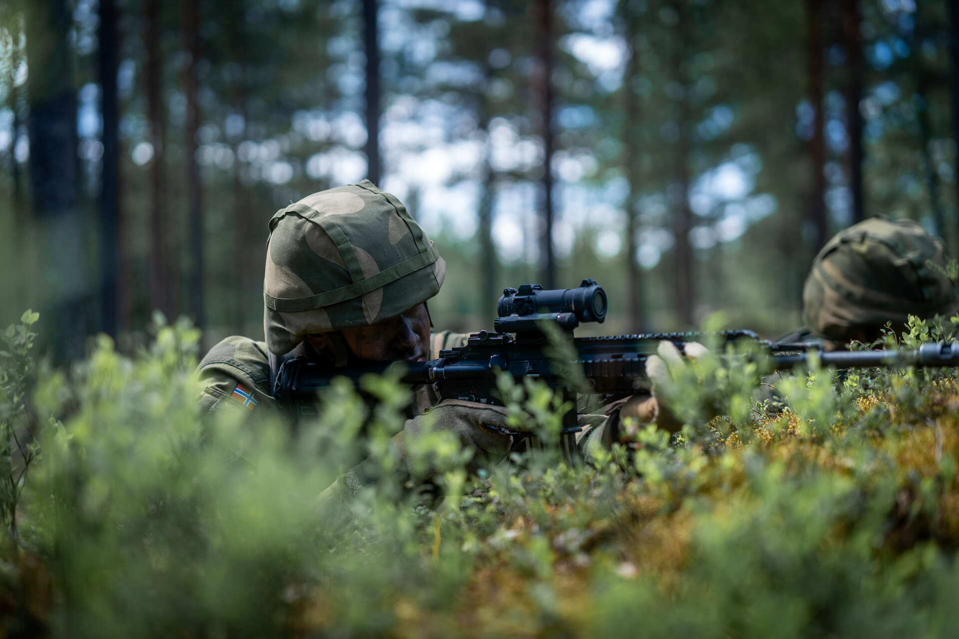 En kamuflasjekledd soldat går nesten i ett med grønn blåbærlyng og skog, der han ligger klar for skyteøvelse