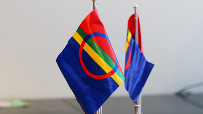 To vimpler av det samiske flagget. 