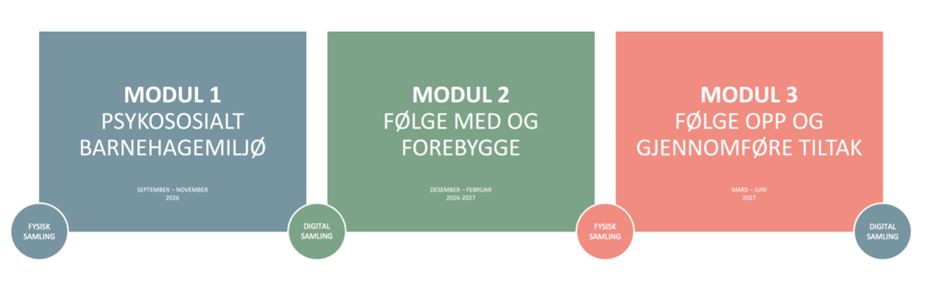 Modell som viser nettressursene 3 moduler med fysiske og digitale samlinger i oppstart, underveis og til slutt.
