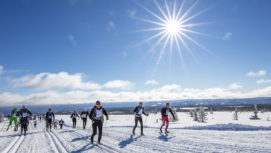 Skiløpere i et spor under Birken. 