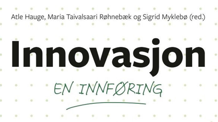 screenshot av heading på boka innovasjon en innføring