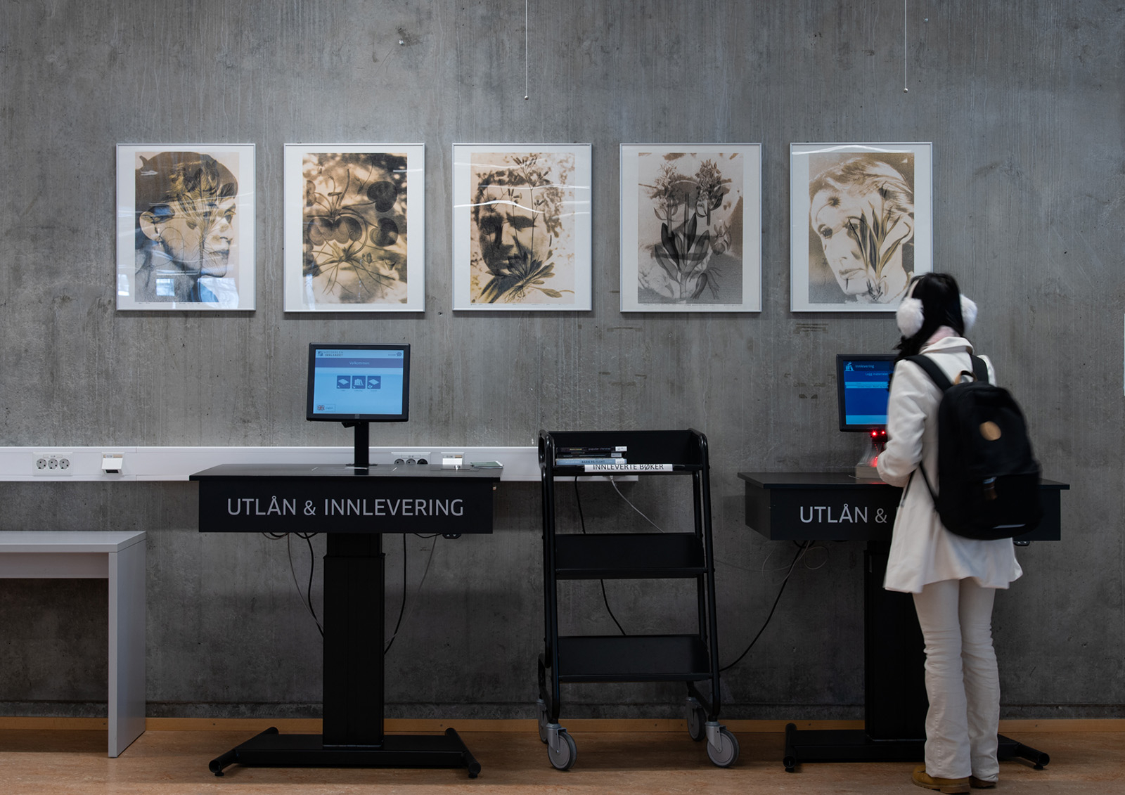 Gerd Tinglums 5 bilder på veggen i biblioteket på Lillehammer