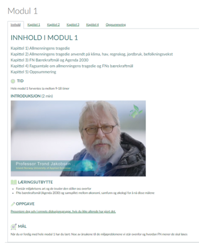 Bildet viser innholdet i Canvas-modulen som prosjektgruppen har utviklet.