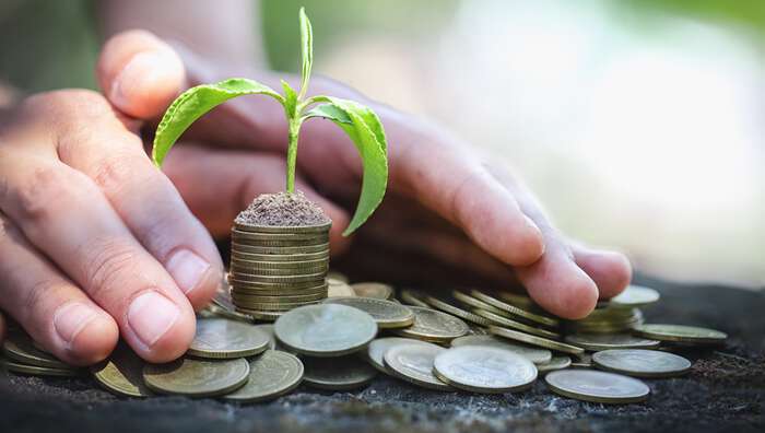 Bilde viser en hånd rundt en stabel penger med en plante som vokser å toppen av pengestabelen.