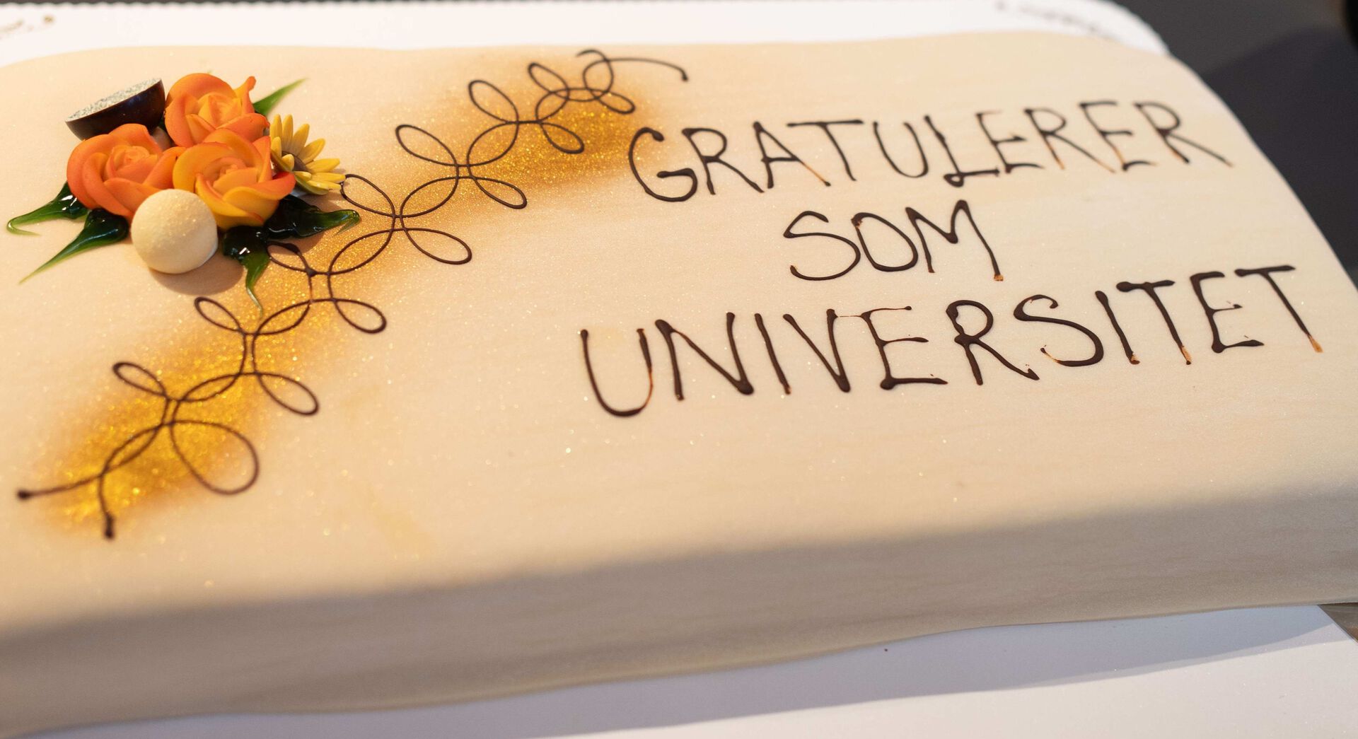 En kake med påskriften Gratulerer som universitet