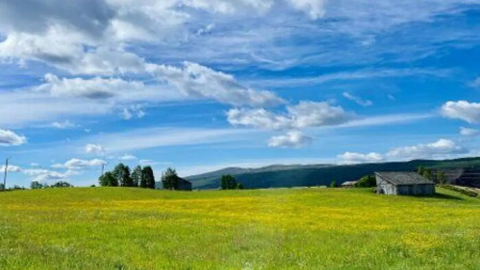 Blue sky and green fieds in the mountain areas around Røros Norway