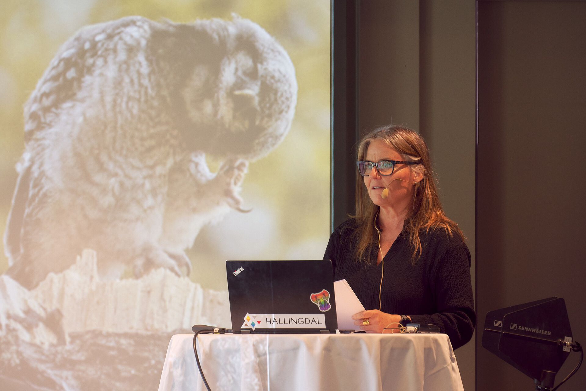 Mona Stokke presenterer funn på Fjellkonferansen. Bildet: Fjellnettverket/fotograf: Emile Holba.