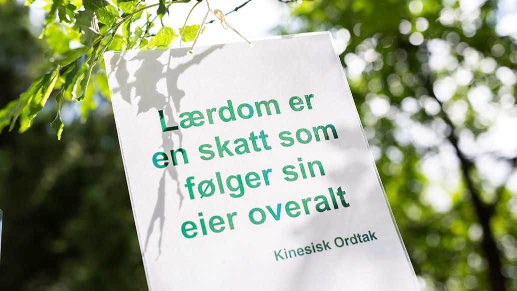 Plakat med tekst: Lærdom er en skatt som følger sin eier overalt.