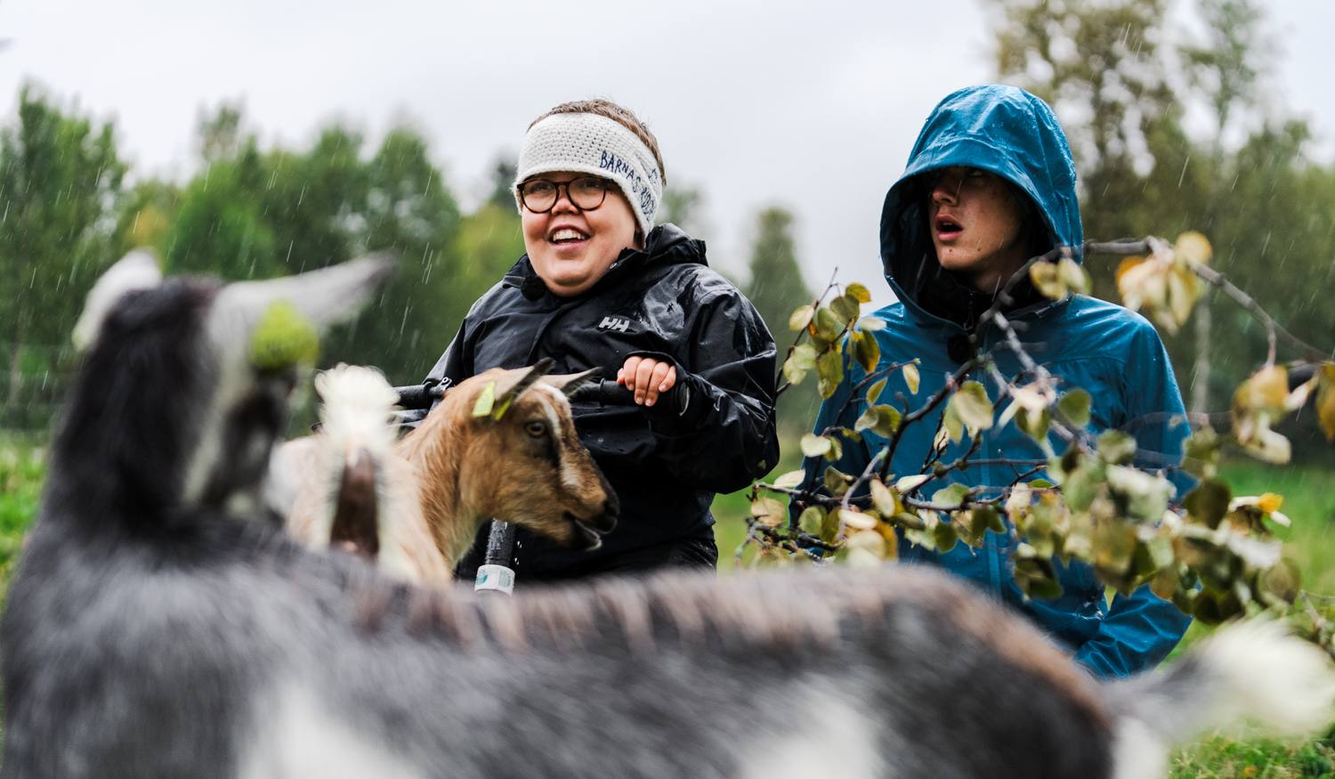 To gutter med funksjonshemming sitter ut på et jorde i regnet og mater geiter