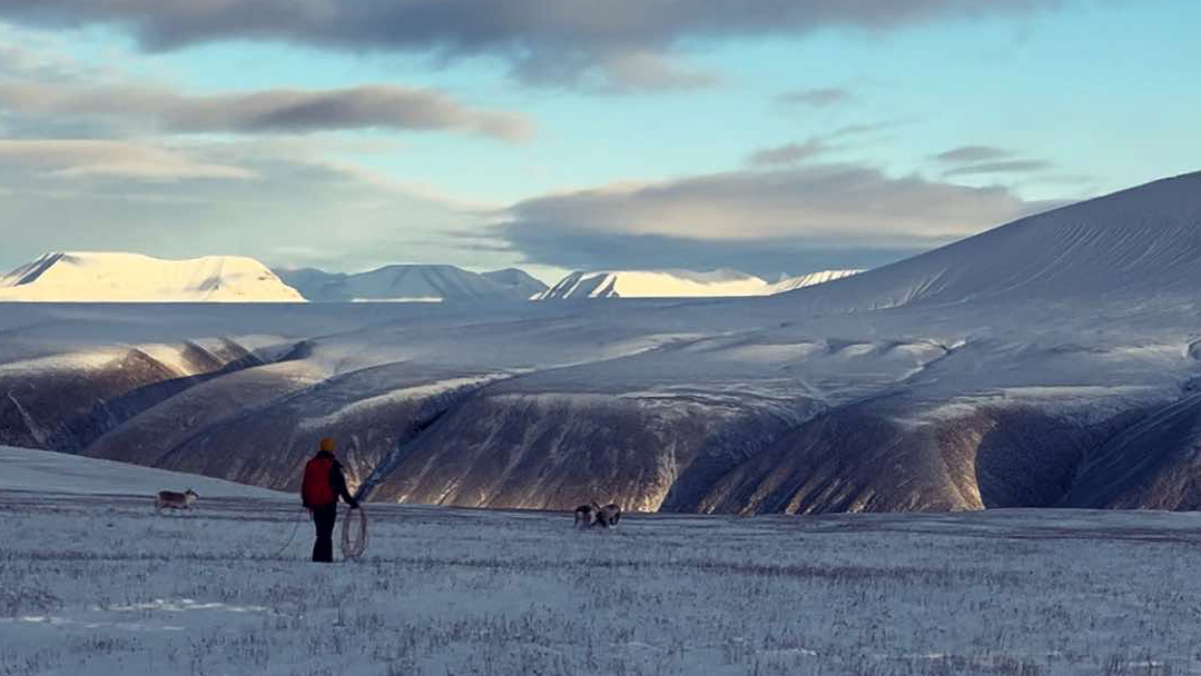 Naturbilde fra Svalbard. 