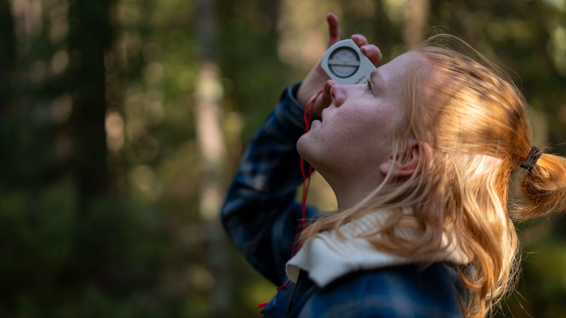 Student ser opp med et måleapparat i skogen.