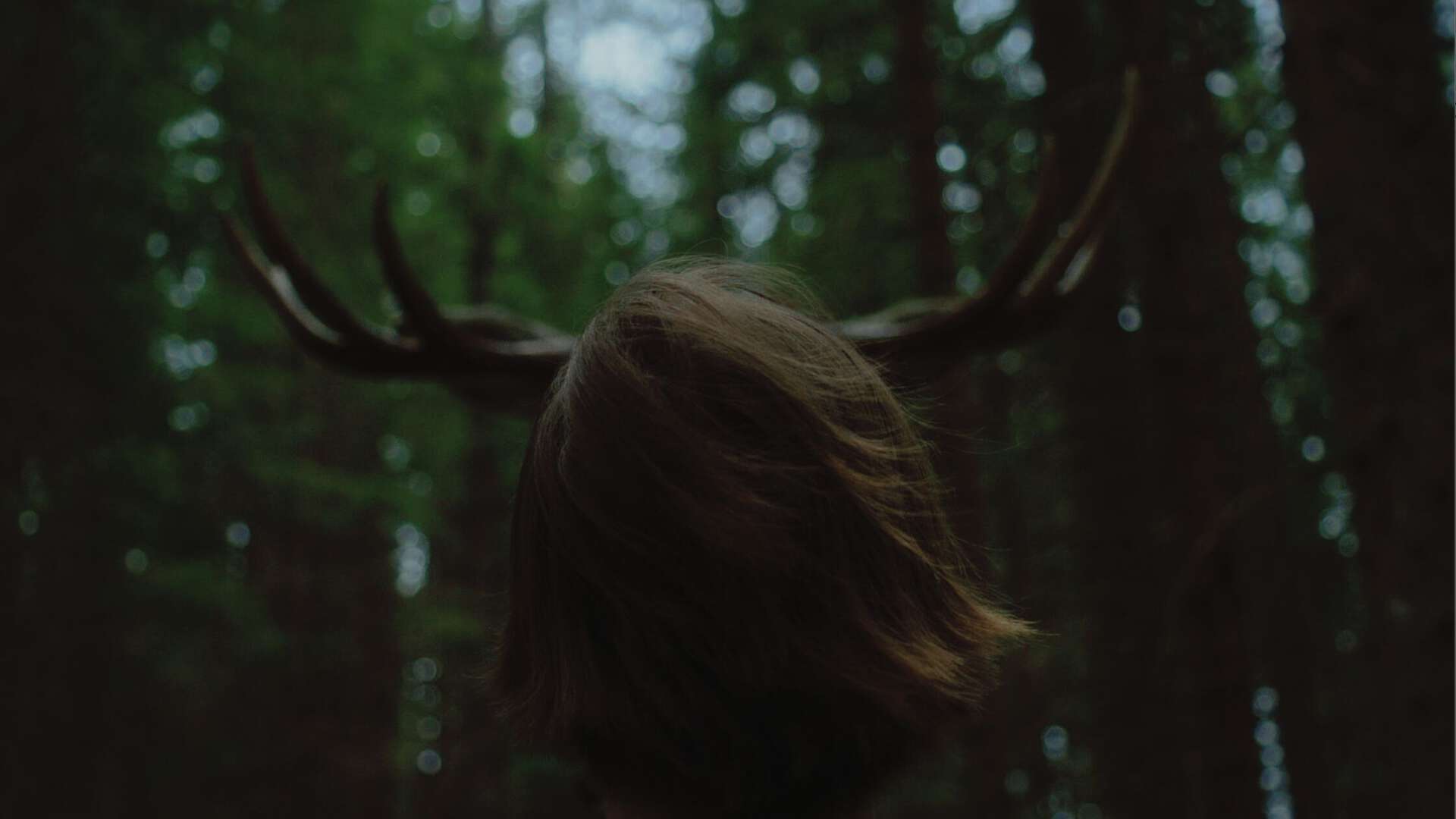 et bakhode med halvlang hår ser mot en elg hvor kun hornene synes, nesten som personens egne horn, med skog i bakgrunnen.