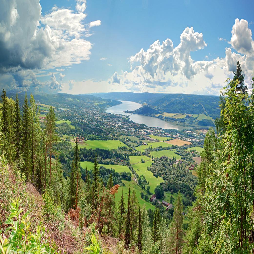 View of Lillehammer with green trees and Lake Mjøsa in the background